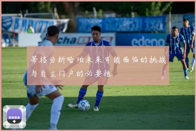 蒂格分析哈珀未来可能面临的挑战与自立门户的必要性